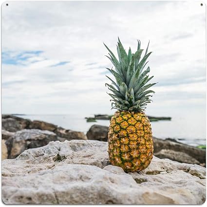 Amazon Com Custom Novelty Summer Seaside Funny Pineapple Metal