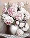 Morgofun DIY Paint by Number Kits for Adults, Paint by Numbers Canvas Brush - Beautiful Peony 16x20inch