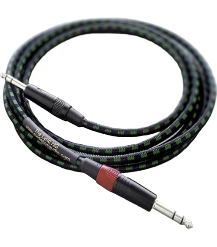 Amazon.com: Evidence Audio LYHGSS10 Lyric Instrument Cable, 10