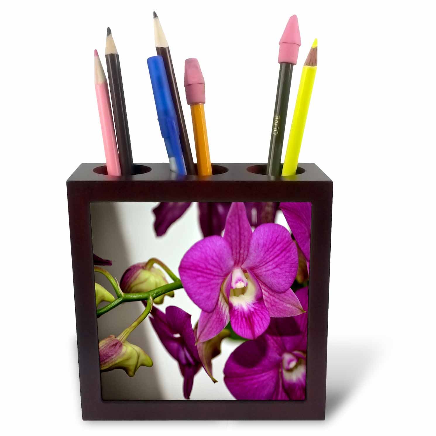 3dRose ph_252518_1 5-Inch "Ladies is a Photo of Beautiful Tiny Orchids" Tile Pen Holder - Pink