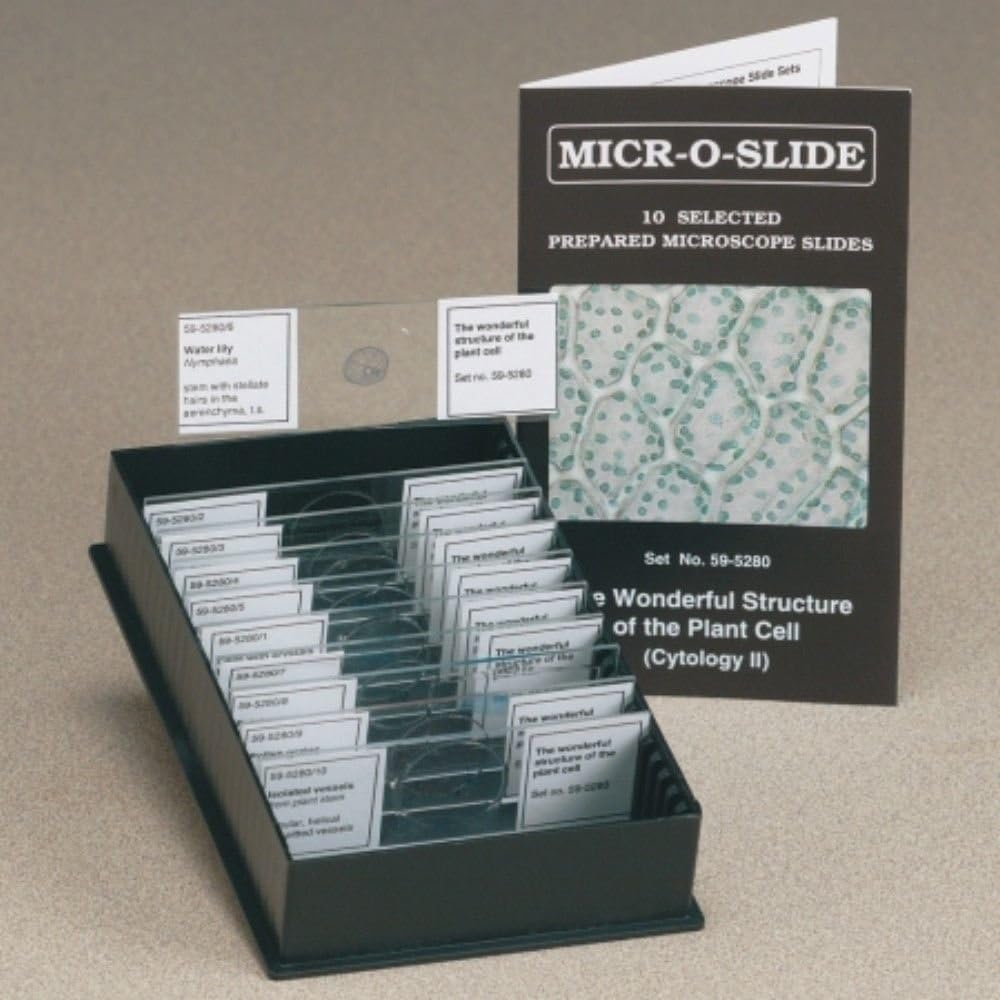 Lieder The Wonderful Structure of Plant Cells Microscopic Glass Specimen Slides