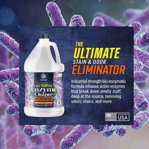 Calyptus All Purpose Concentrated Enzyme Cleaner Pet Stain and Odor Eliminator Enzymatic