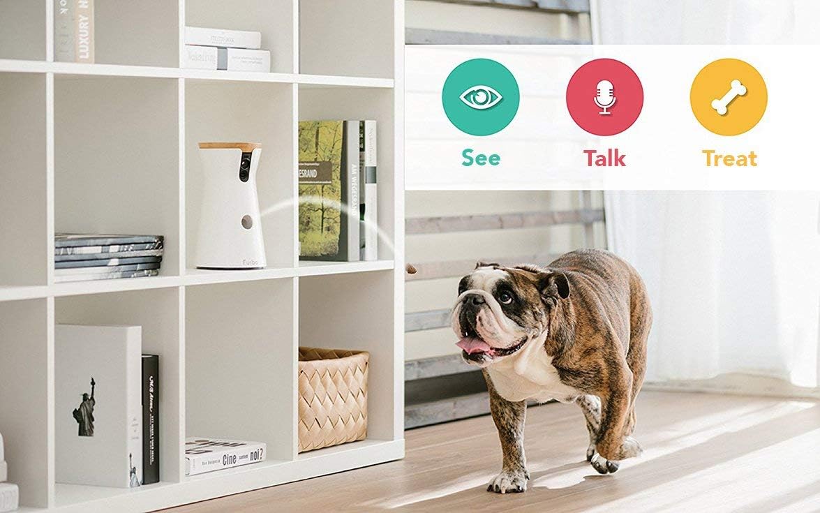 amazon dog camera treat