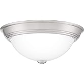 Quoizel Erwin Flush Mount Ceiling Light, 13 Inch 2-Light Brushed Nickel Opal-Etched Frosted Glass Shade, Ceiling Light Fixtur