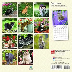 Cat Lovers 2018 7 x 7 Inch Monthly Mini Wall Calendar, Animals Domestic Cats
