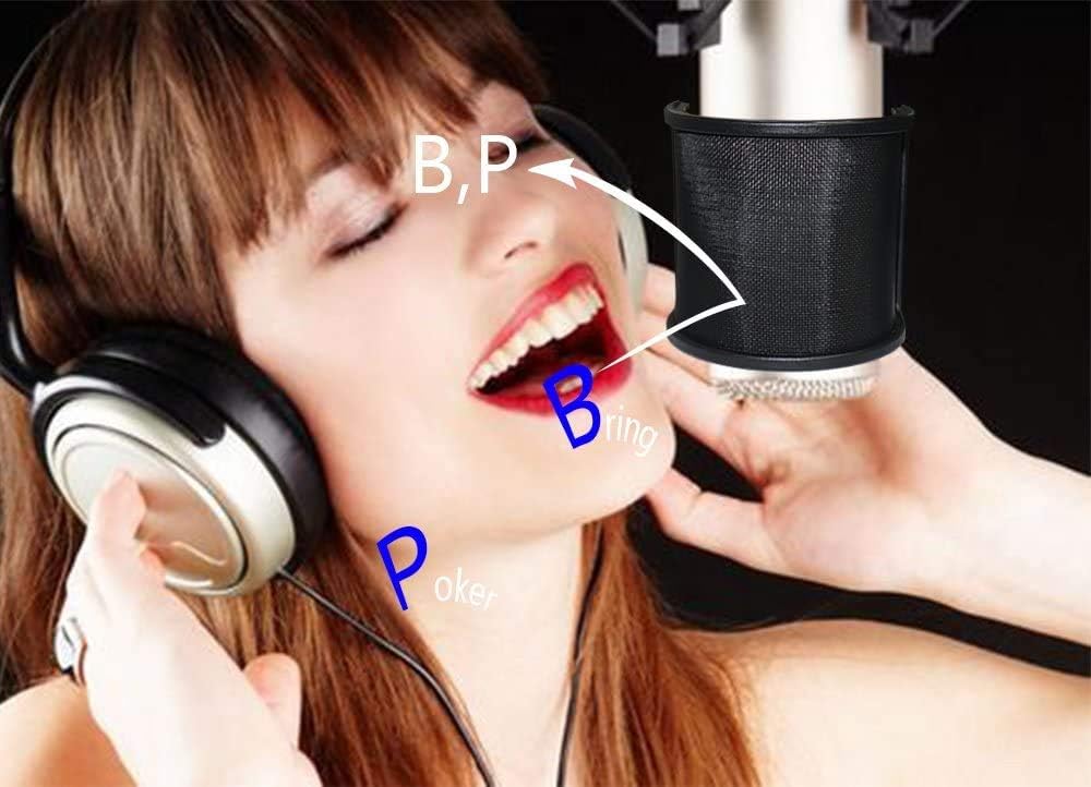 Pop Filter,PEMOTech [Upgraded Three Layers] Metal Mesh & Foam & Etamine Layer Microphone Pop Filter,Microphone Windscreen Cover,Handheld Mic Shield Mask for Vocal Recording,Youtube videos,Streaming: Musical Instruments