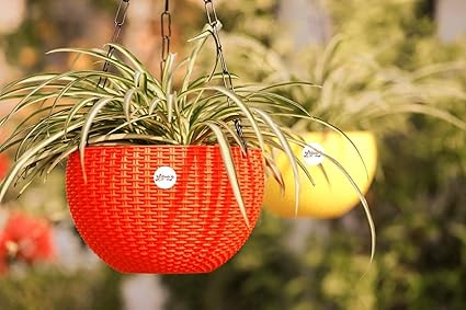 Digionics 6inch Multipurpose Hanging Pot Plant Container & Flower Pot with Chain Plant Container Set (Plastic, 6 Pots)