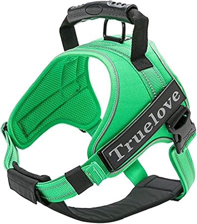 true love harness amazon
