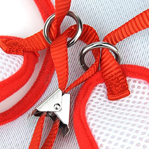 Layboo Soft Handsome Collar Rabbit Little Dogs Cats Harness With Leash Size (M, black) - Thumbnail 4
