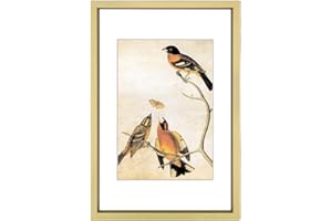 BKABOT 3.5x5 Picture Frame, Brass Metal Photo Frames with HD Glass, Fits 2.5x3.5 with Mat or 3.5x5 without Mat, Display for Wall and Table, 1 Pack