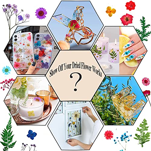 Real Natural Dried Pressed Flowers For Resin Molds Dried Palm Leaves