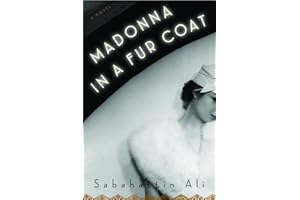 Madonna in a Fur Coat: A Novel