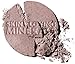 Prestige Cosmetics Skin Loving Minerals Dramatic Minerals Eye Shadow, Opal, 0.08 Ounce