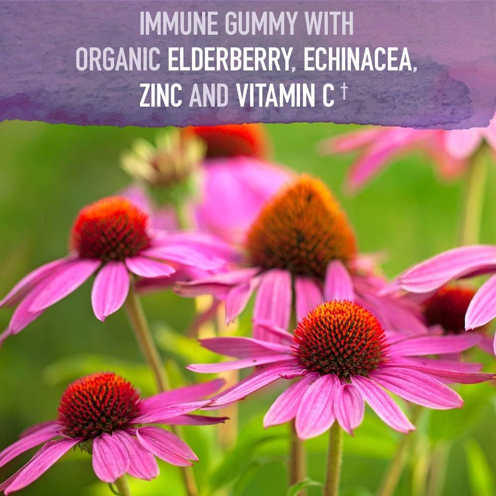 Garden of Life mykind Organics Elderberry Plant Based Immune Gummy - 120 Real Fruit Gummies for Kids & Adults - Echinacea, Zinc & Vitamin C, No Added Sugar Herbal Supplements: Health & Personal Care