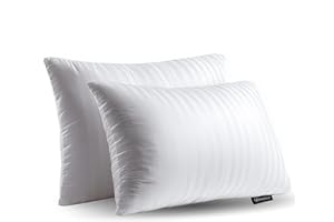 Beautyrest Luxury Goose Feathers Soft, 500 Thread Count Cover 20”x28”, Queen (Pack of 2), Supportive Fluffy Hotel Collection Side and Back Sleepers Bed Pillow, White 2