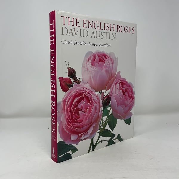 David Austin's English Roses: Glorious New Roses for American