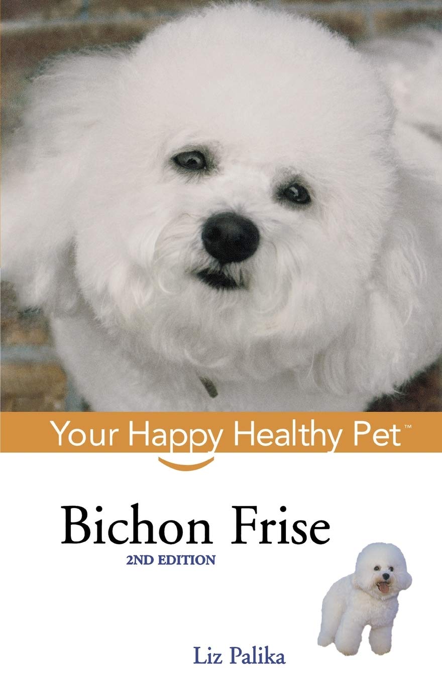 happy bichon frise