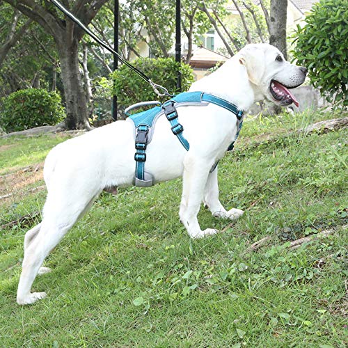 BELPRO MultiUse Support Dog Harness, Escape Proof No Pull Reflective