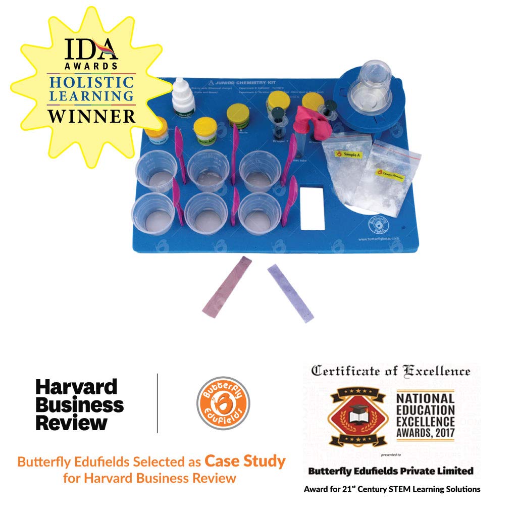 Butterflyfields DIY Chemistry Experiment Kit Heating of Camphor