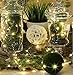 Kohree Micro 30 LEDs Christmas String Lights Battery Operated on 10 Ft Long Ultra Thin String Copper Wire for Seasonal Decorative Christmas, Holiday, Wedding, Parties with Timer Battery Box