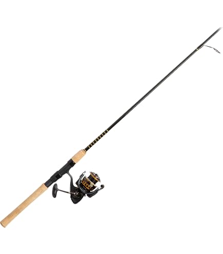 Amazon.com : Daiwa BG5000/701H BG Saltwater Pre-Mounted Combo, 5000, 6+1  Bearing, Spinning, 7' Rod, 1Piece : Sports & Outdoors