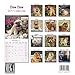 Chow Chow Calendar 2017 - Dog Breed Calendar - Wall Calendar 2016-2017
