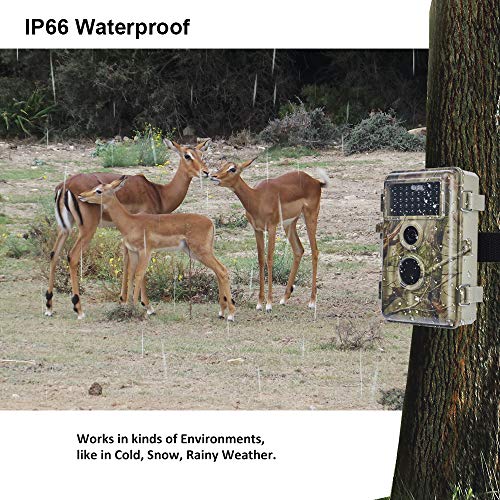 Meidase Trail Camera 16MP 1080P, Game Camera with No Glow Night Vision Up to 65ft, Hunting Camera with Motion Activated, 2.4" Color Screen and Unique Keypad, Waterproof Wildlife Camera