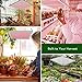 Led Grow Light Full Spectrum for Indoor Plants, TOPLANET 75w Plant Light Bulbs 380nm-780nm for Indoor Grow Box Greenhouse Garden Hydroponic Veg Herb Orchid Organic Soil Growth