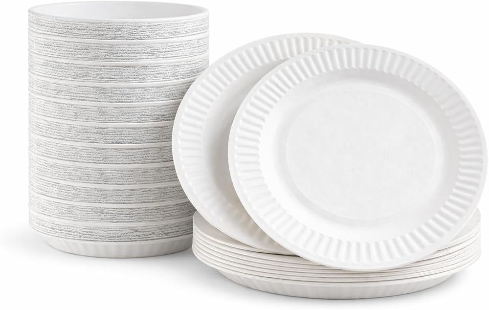 1ABOVE 100 Pack 9-Inch White Disposable Paper Plates 23cm