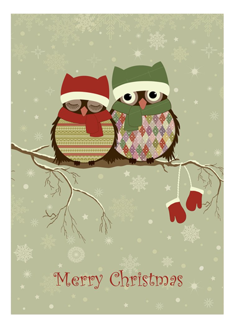Vintage Owls Christmas Cards - Pack Of 20 - One design