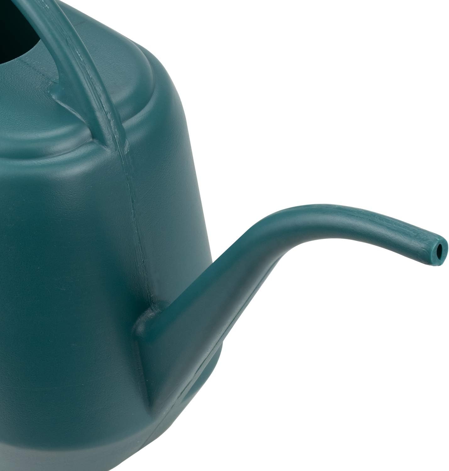 Fasmov Plastic Watering Can, 1-Gallon, Green : Garden & Outdoor
