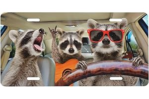 Smoaffly License Plate,Funny Raccoon Decorative Car Front,Metal Car Plate,License Plate,Vanity Tag,Aluminum Noverlty License Plate for Men/Women/Boy/Girls Car 6×12 Inch