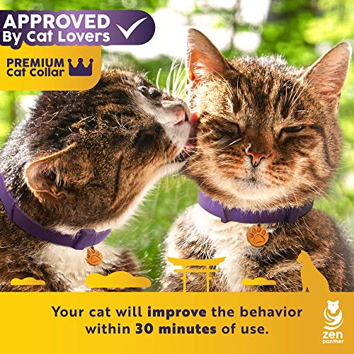 calming collar for aggressive cat