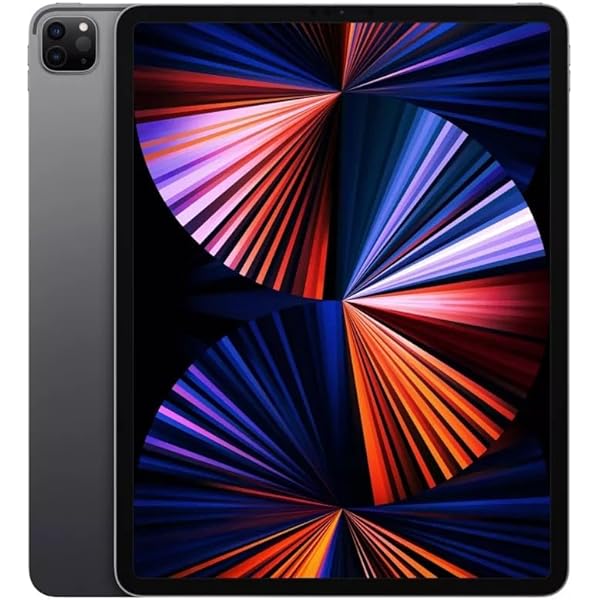 Amazon.com : 2021 Apple 11-inch iPad Pro (Wi-Fi, 256GB) - Space
