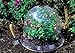 Tierra Garden 50-1100 Haxnicks Protective Plant Bell, 3-Pack