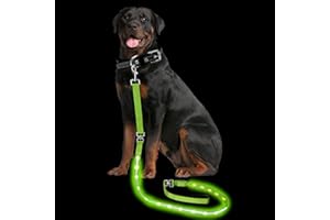 PetIsay Light up Dog Leash for Night Walking - USB C Rechargeable - Waterproof - Dog Leashes with Flashlight - LED Leash for Dogs - 6Ft, Green