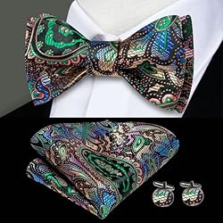 Hi-Tie Men Ties Bowtie Set Silk Necktie Bow Tie