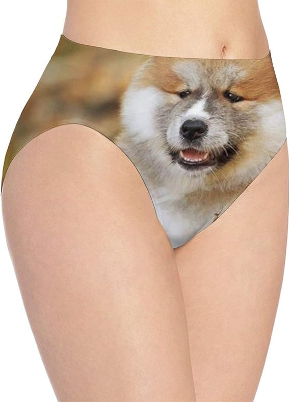 Amazon Co Jp 秋田犬 かわいい 5 ボクサーパンツ レディース ブランド 下着 ローライズ 吸汗速乾 通気性 抗菌防臭加工 ボクサーブリーフ 服 ファッション小物