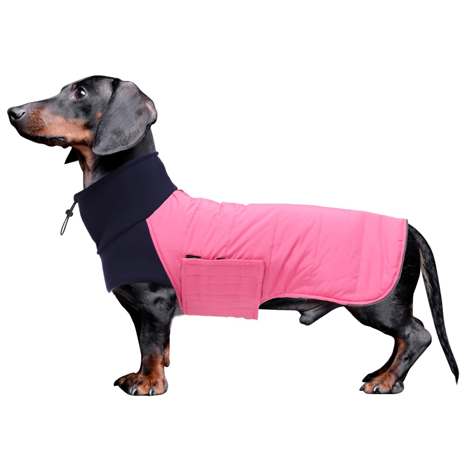 Morezi Dachshund dog coats sausage jacket fit for dachshunds corgi reversible dog winter coat padded cotton lining high collar dog suit in Autumn Winter - Pink - XS