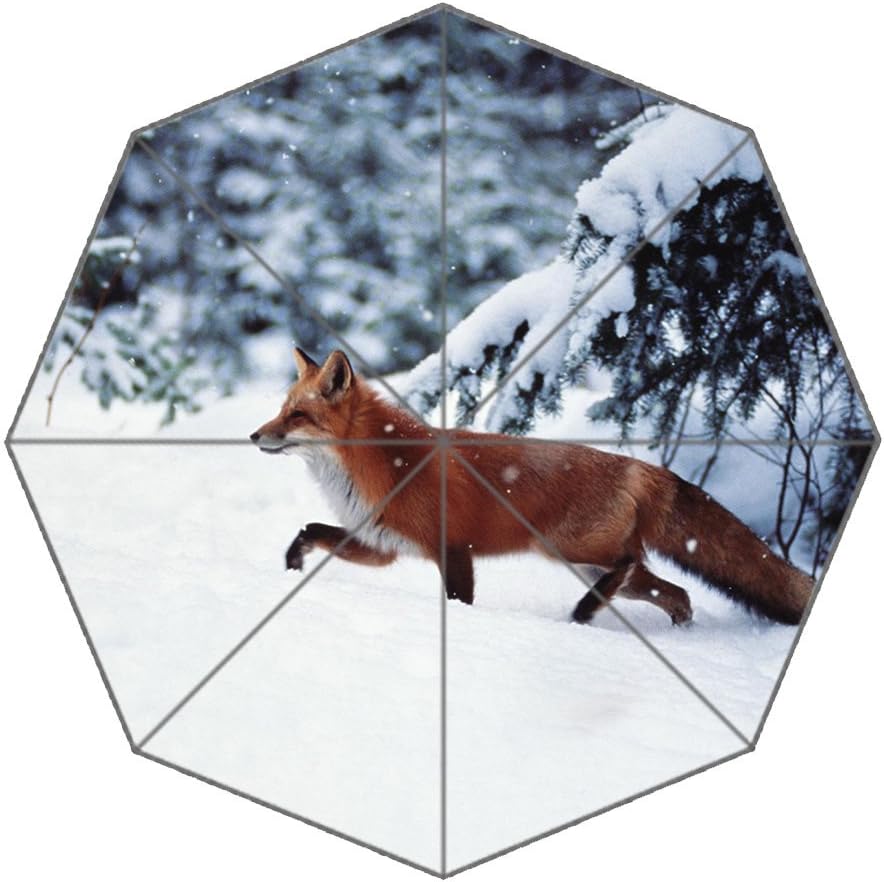 Travel Umbrella-Fox Umbrella Windproof Waterproof Umbrellas for Women