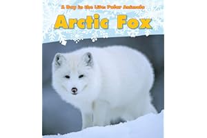 Arctic Fox (A Day in the Life: Polar Animals: Heinemann Read and Learn: Level K)