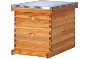POLLIBEE 10 Frame Bee Hive,Beeswax Coated Beehive Kit for Bee Keeper,Complete Beehive Include 1 Deep Brood Bee Box and 1 Medium Bee Hive Box with Frame and Foundation