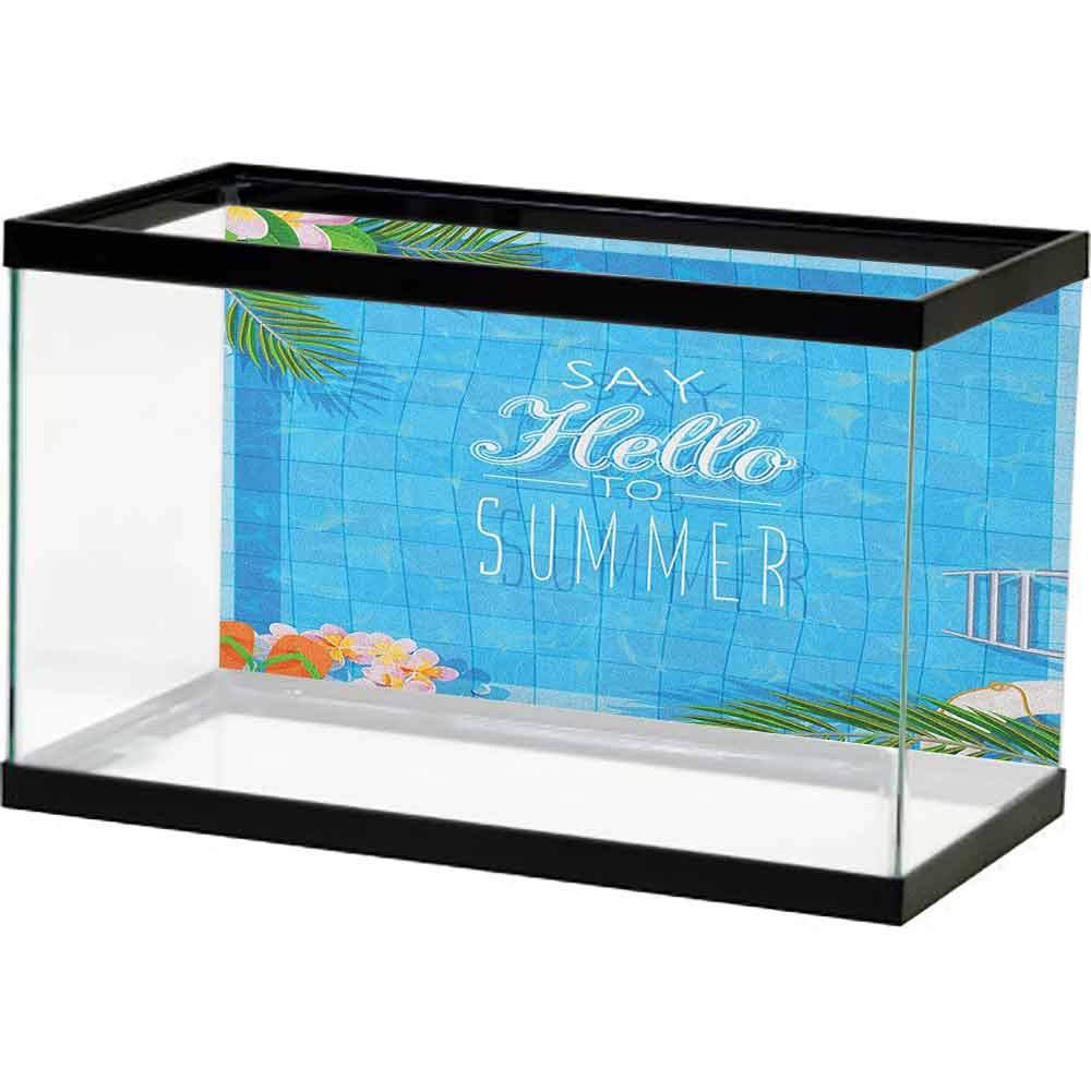 Best Aquarium Co2 Ladder