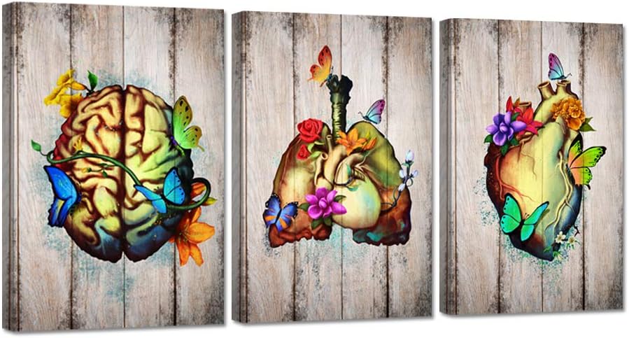 Zlove 3 Pieces Canvas Wall Art Flowery Heart Brain Lungs Human Anatomy Set Medical Science Artwork Stretched and Framed for Medical Clinic Doctor Office Decoration Ready to Hang