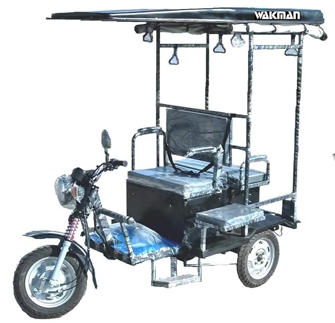 handicapped tricycle battery