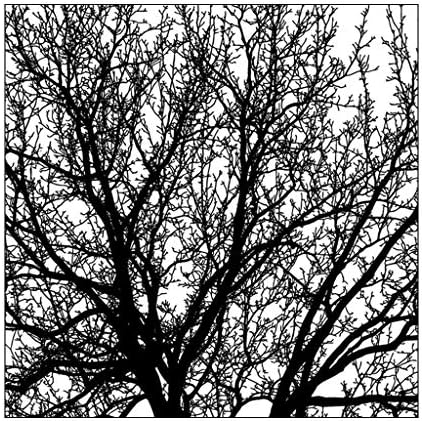 YiPong Big Trees DIY Silicone Clear Stamp Cling Seal Scrapbook Embossing Album Decor for DIY Scrapbooking Photo Album Decoration Clear Stamps for Card Making