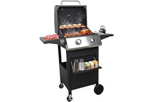 Cyphyja 2 Burner Gas Grill, 20000 BTU Propane BBQ Grill for Summer Cook/Camp/Gift, Stainless Steel Barbecue Grill for Patio/Deck/Backyard