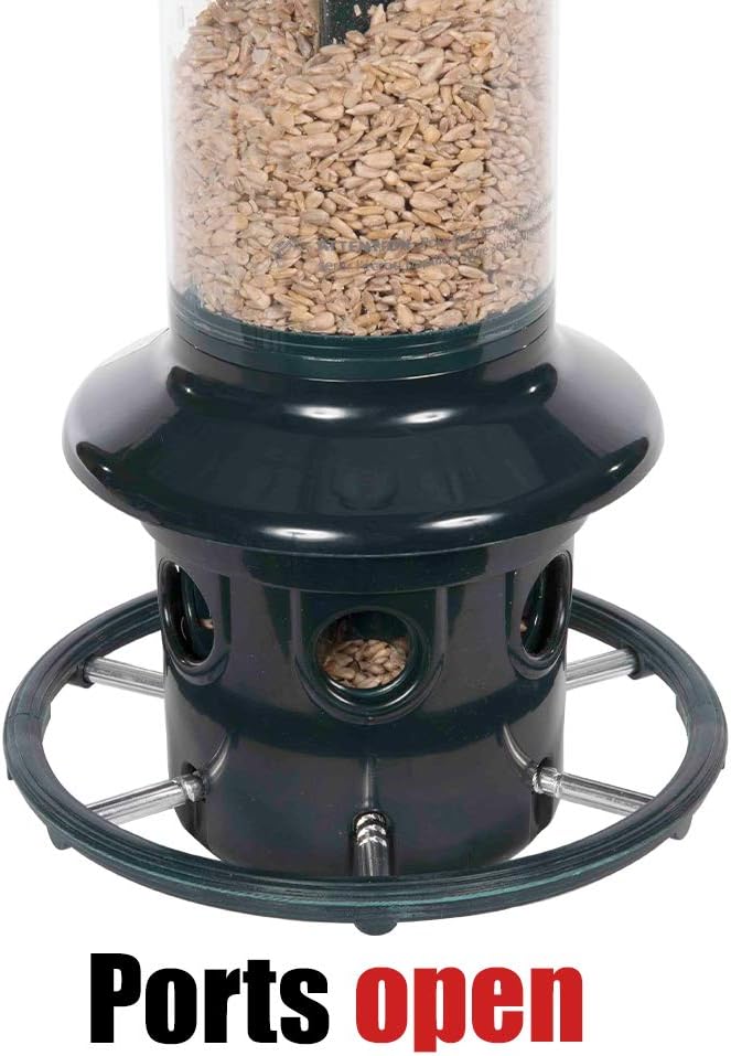 Squirrel Buster Plus Squirrel-proof Bird Feeder w/Cardinal Ring and 6 Feeding Ports, 5.1-pound Seed Capacity, Adjustable, Pole-mountable (POLE ADAPTOR SOLD SEPARATELY), Green : Garden & Outdoor