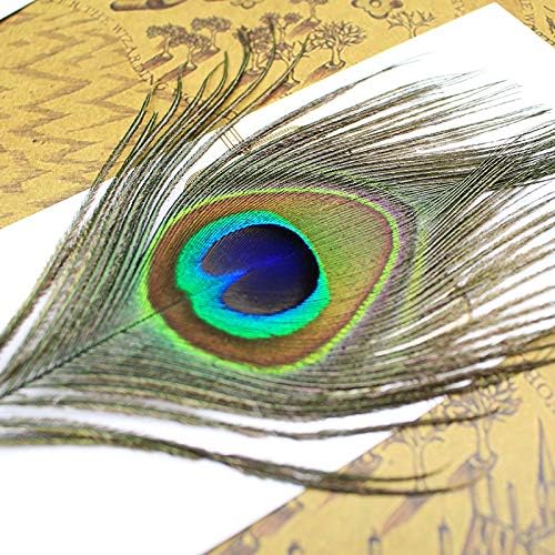 Peacock Feather Pen Set Antique Calligraphy Writing Quill Ink Dip Pen with Holder - Image 4