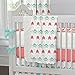 Carousel Designs Coral and Teal Arrow Crib Blanket